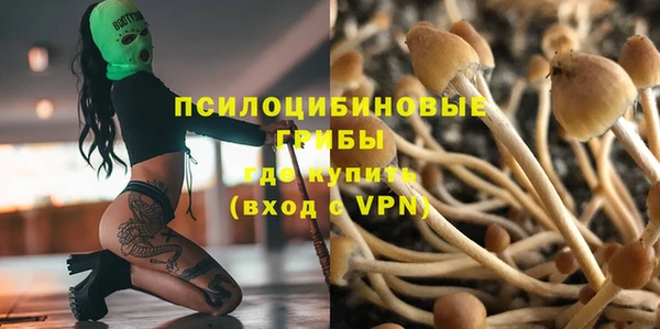 СК Кукмор