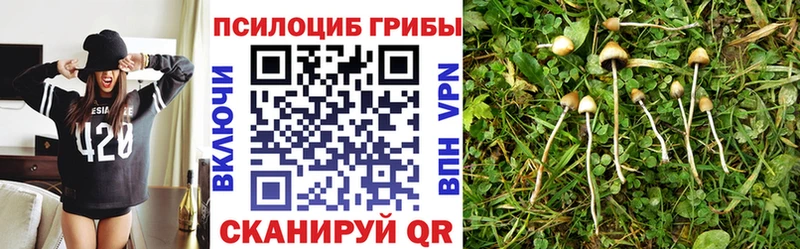 Псилоцибиновые грибы MAGIC MUSHROOMS Макарьев